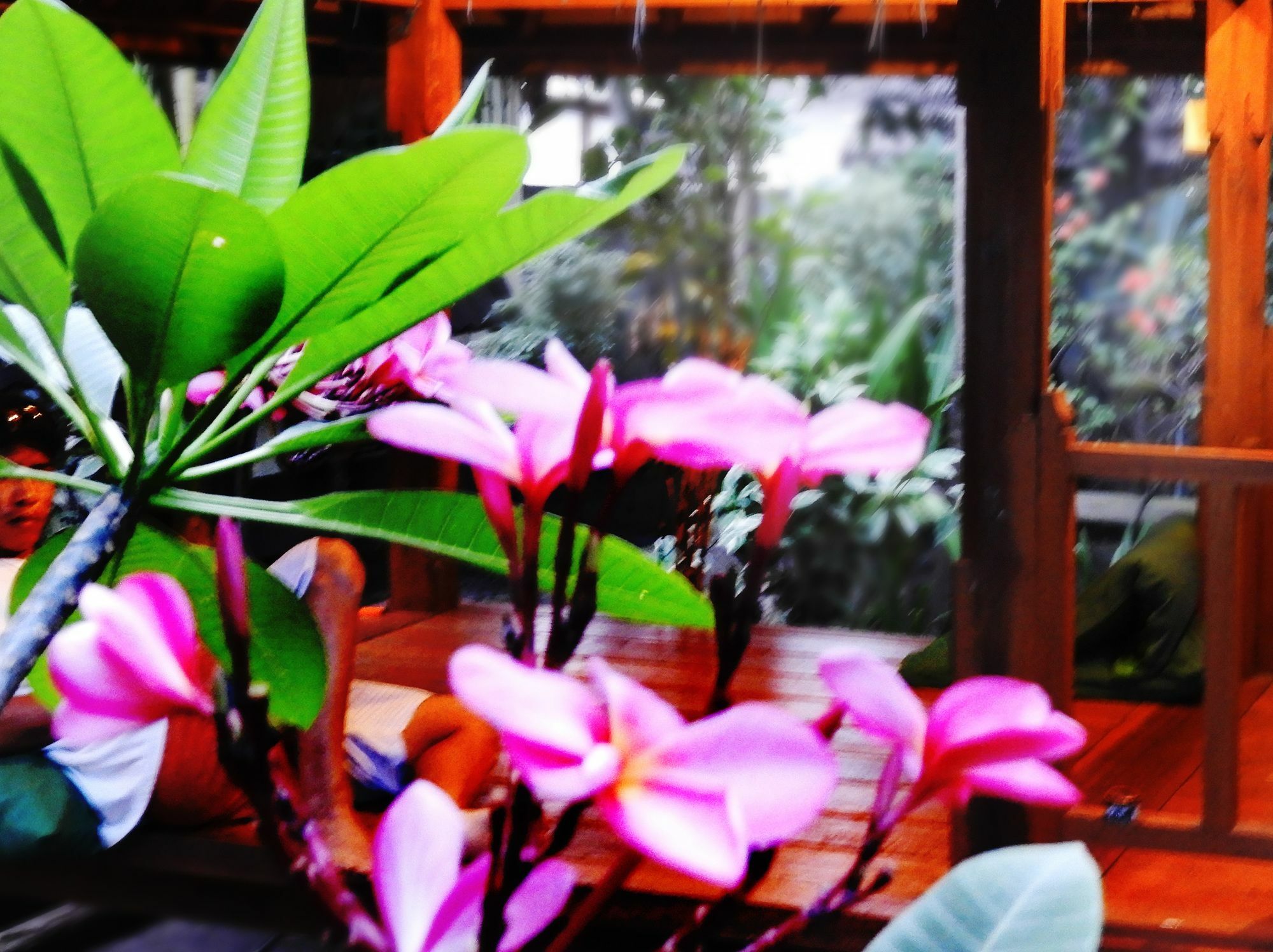 Toro Toro Bungalow Gili Air Exteriör bild
